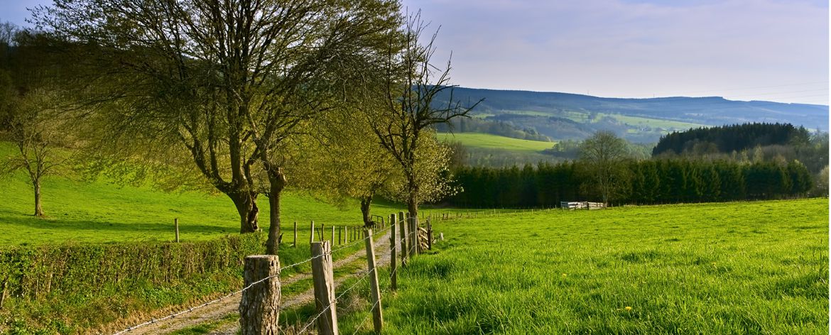 ardennen